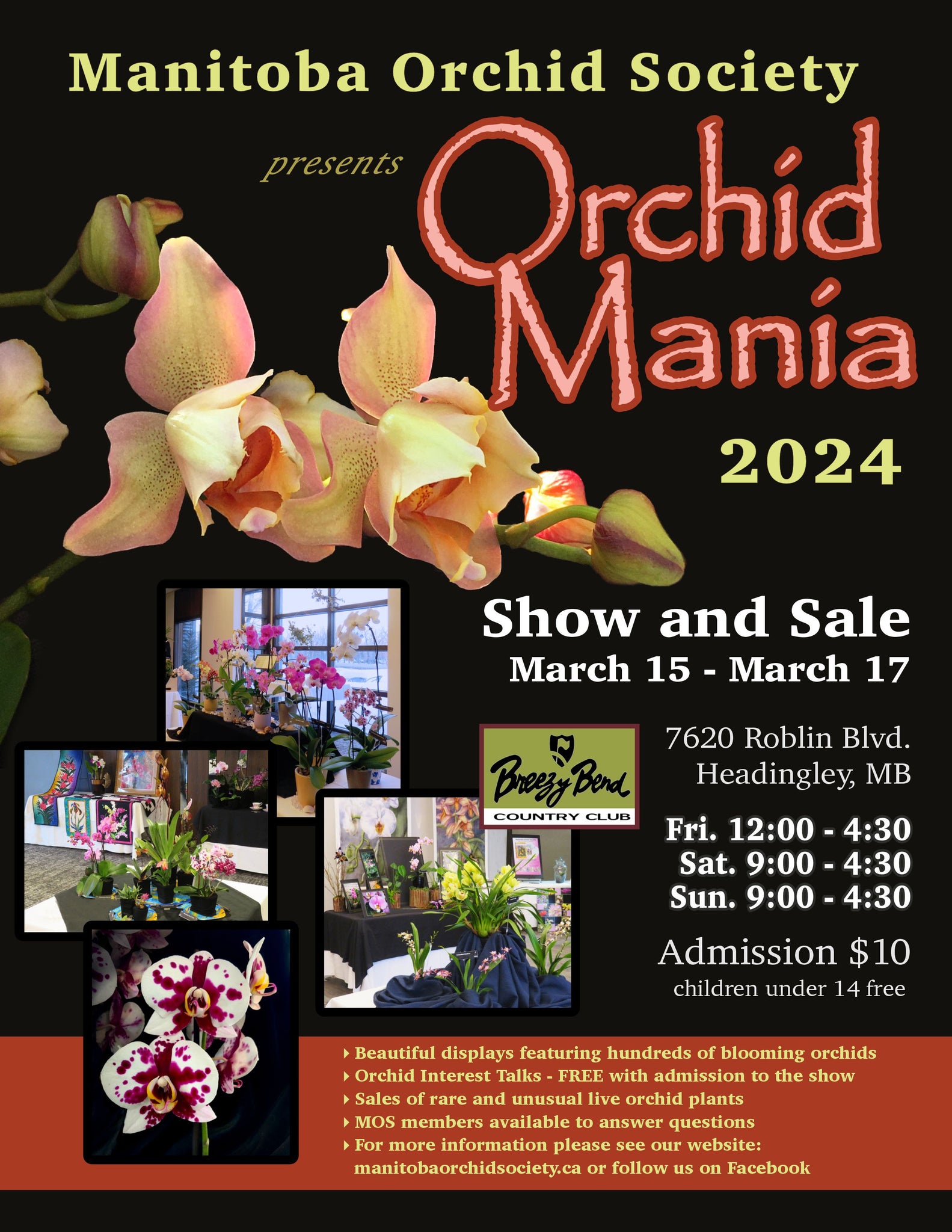 Manitoba Orchid Show 2024 Orchid Mania