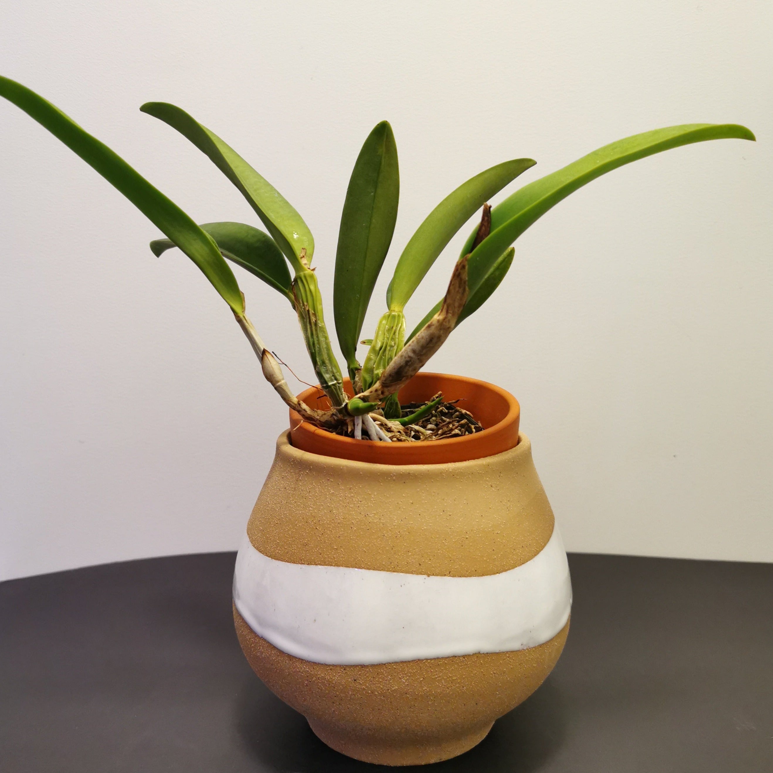 Ceramic Middleton Vase
