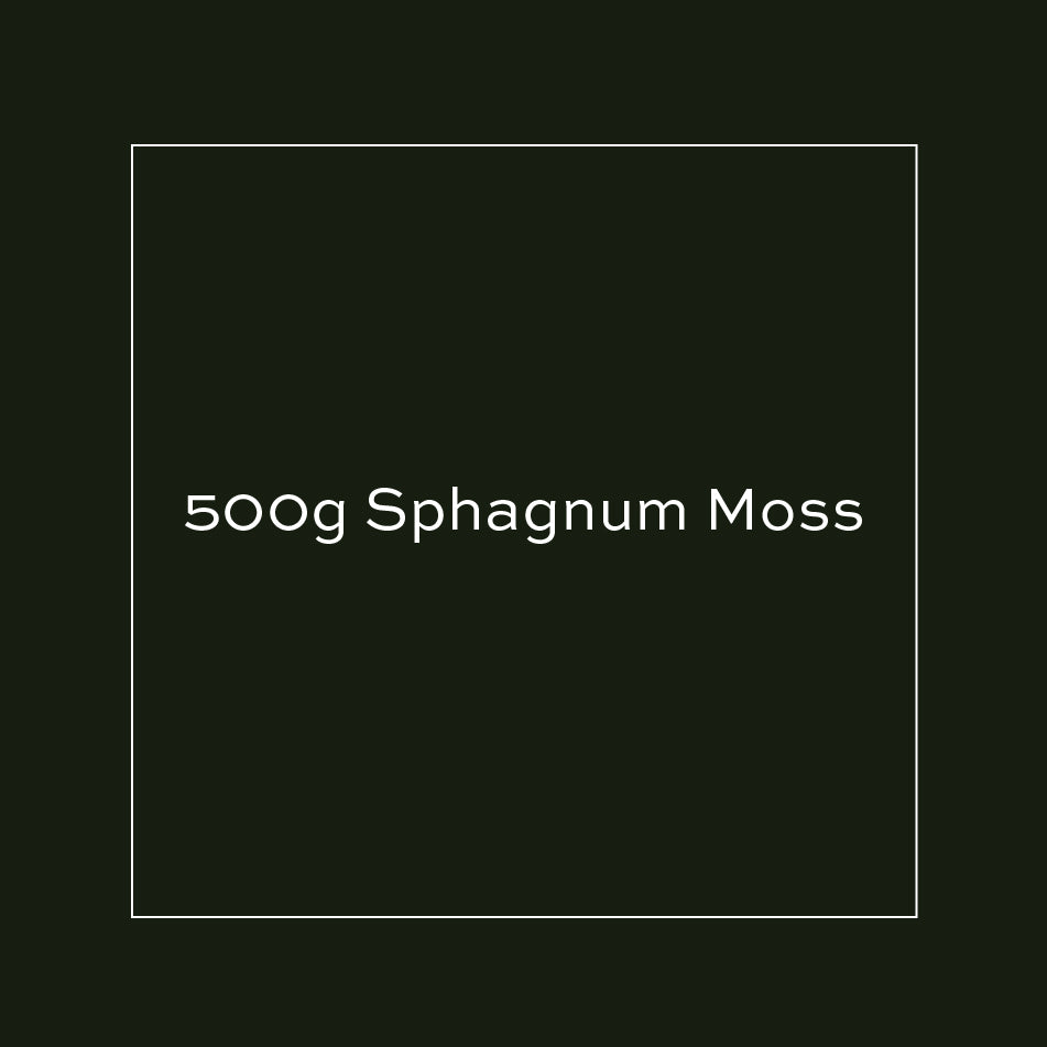 500g Sphagnum Moss