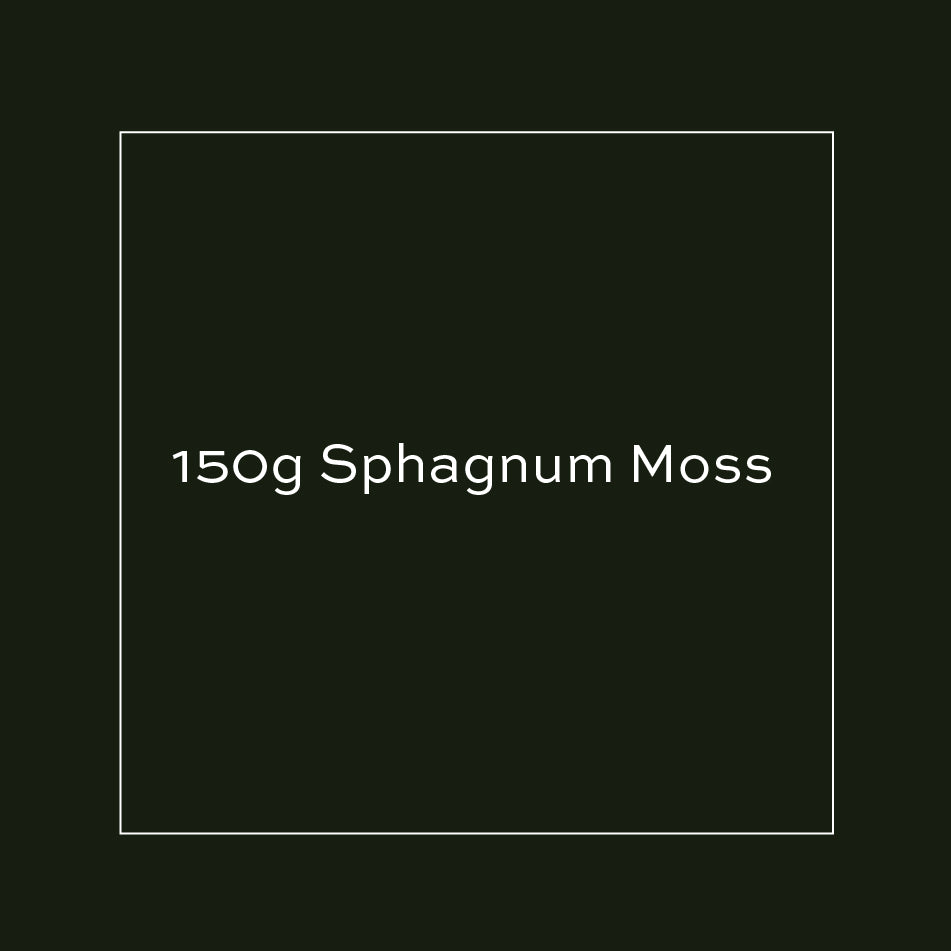 150g Sphagnum Moss